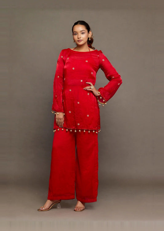 Ruby Red Embellished Set