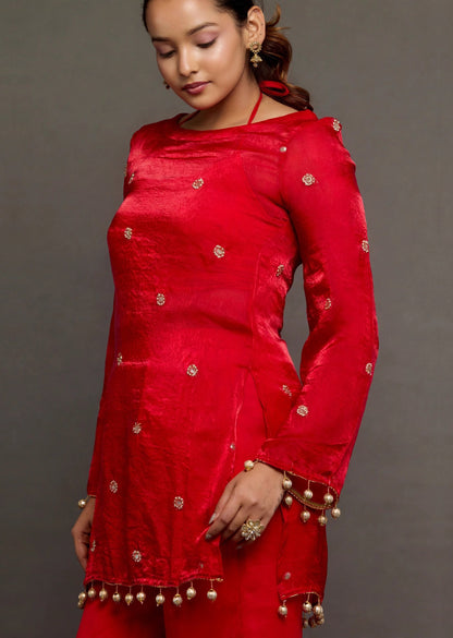 Ruby Red Embellished Set