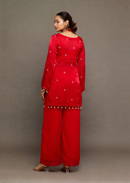 Ruby Red Embellished Set