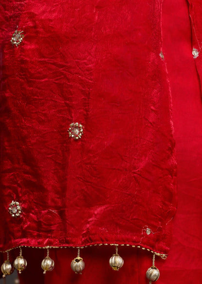 Ruby Red Embellished Set